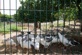 Casa Rural La Higuera - 7