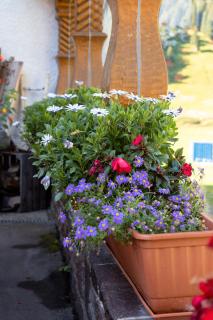 Landhaus Perktold - 9