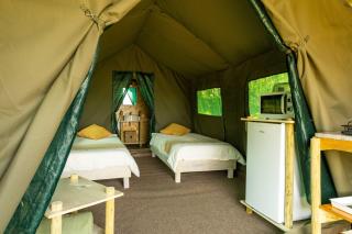 Safari Glamping Portugal Whale - 0