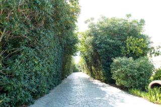 Kos Dream Beachwalk Apartment - 9