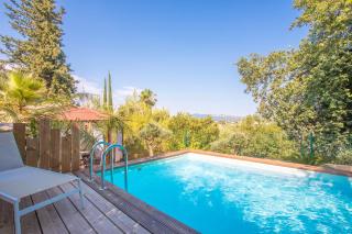 Palmiers en couleurs - 9