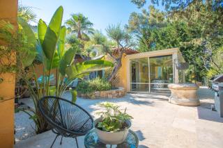 Palmiers en couleurs - 7