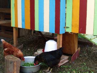 Ferienwohnung Wollmeister - 9