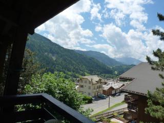 studio lumineux La Tournette - 9