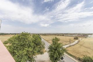 El Paller de Cal Maso - 4