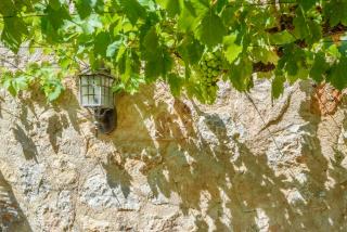 Finca Can Solivellas - 9