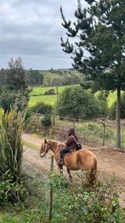 Hostal Tregualemu - 9