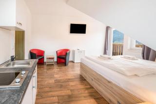 Mentenwirt Suite - 2