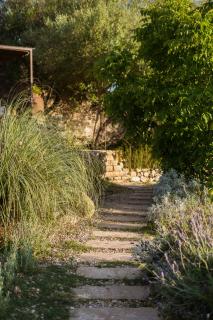 Vista Verde - Sineu - 4