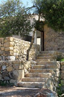 Vista Verde - Sineu - 3