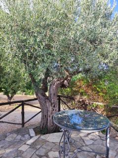 Villa Degli Ulivi - 9