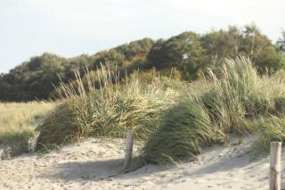 Ferienwohnung Vogelsang - 9