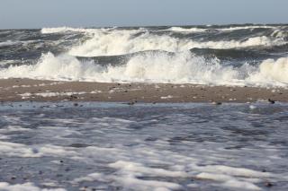 Ferienwohnung Vogelsang - 5