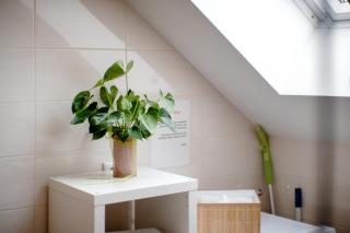 Appartement Rosi - 7