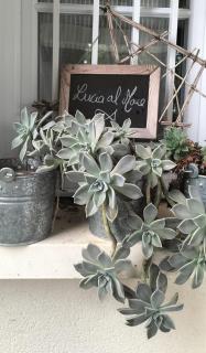 LUCIA AL MARE - chambre d'hôtes - 5