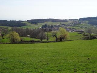 Le Mas Saint Victor - 2