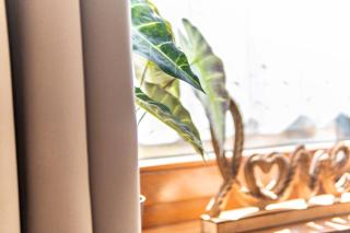 Fewo mit Terrasse - Hunde erwünscht - 5