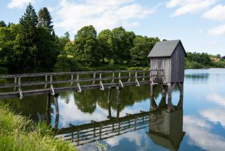 Schönes Leben 2 - 8