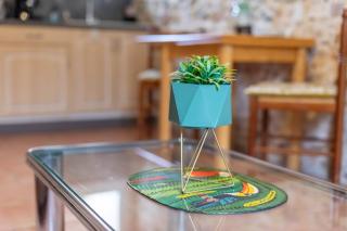 Joli Appartement à Claira - 6