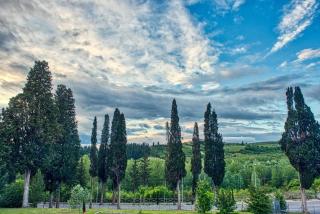 Niccoli's Holiday Home In Tuscany - 6