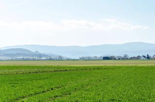 Ferienhaus am Park - 7