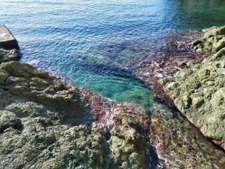 bilocale con il mare dentro - 7