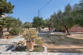 Dimaras Apartments Zakynthos - 6