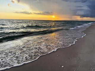 Poolside 2BR – Boca to Manasota in Minutes - 6