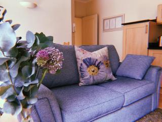 VII 3 Classic One Bed Serviced Apartment - Ipswich - 2