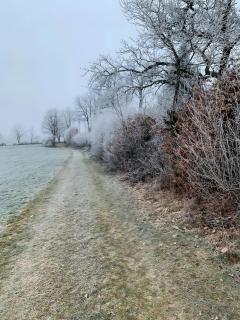 Fewo Allezeit Sauerland - 8