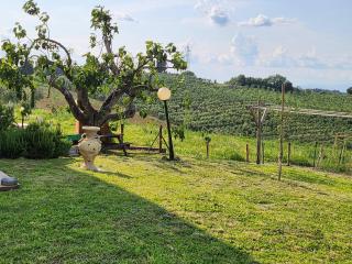 Sassaia Nel Chianti - 9