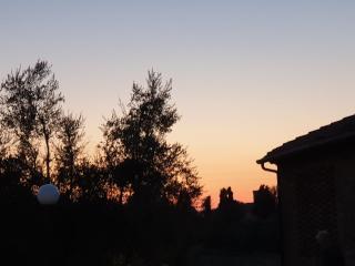 Sassaia Nel Chianti - 7