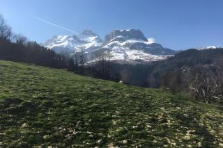 Face au Mont Blanc, plein sud - 9