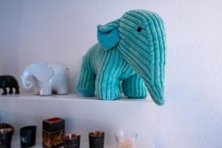 Le rivage bord de mer parking wifi - 6