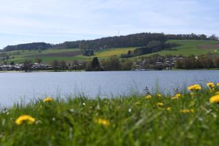 Haus Sonnenblick - 5