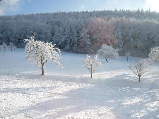 Ferienwohnung Moog - 7