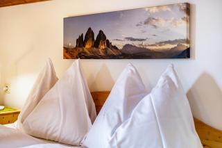 Manuel's App Watschinger Alpenrose - 9