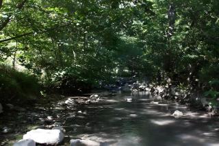 Maison en Provence ancien moulin - 9