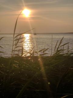 Ferienhaus Seeschwalbe - 6