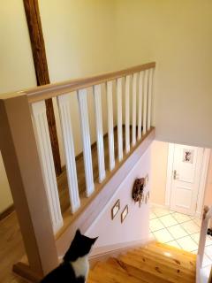 Altes Landhaus - Behrendorf - 3