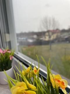 Ruhige Ferienwohnung Zeithain - 4