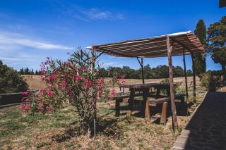 Masseria del bosco Palazzone - 5