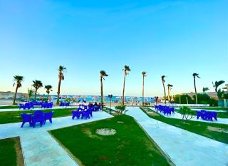 Juliana Beach Elite Queen T Collection - 2