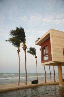 Lahaina Hotel - Soft Opening - 8