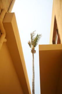 Lahaina Hotel - Soft Opening - 4