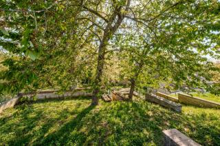 Le Casette della Maremma - 3