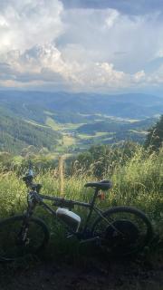 Home Sweet Home - Buchenbach - 9