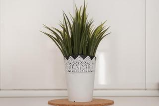 Las Olas Maspalomas - Maspalomas - 9