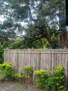 The Peace Hostel - 4