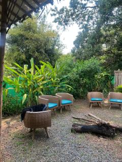 The Peace Hostel - 0